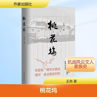 桃花坞 王尧 著 著 作家出版社