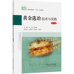 黄金选冶技术与实践 第2版 李琳,吕宪俊 编 中国矿业大学出版社