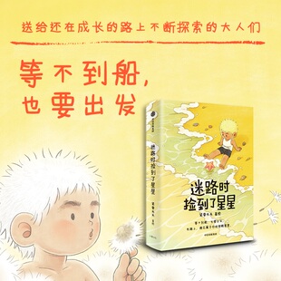 迷路时捡到了星星 紧要光头 著绘 著 中信出版社