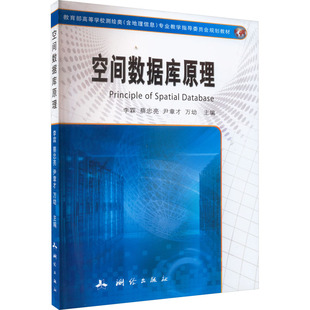 测绘出版 空间数据库原理 编 等 社 李霖