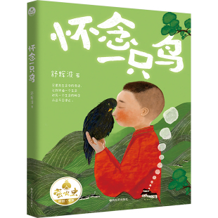 春风文艺出版 著 社 舒辉波 怀念一只鸟