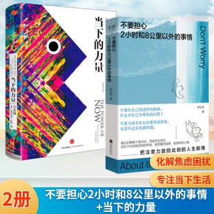 【2册】不要担心2小时和8公里以外的事情+当下的力量 李松涛 著 著等 北京联合出版公司等