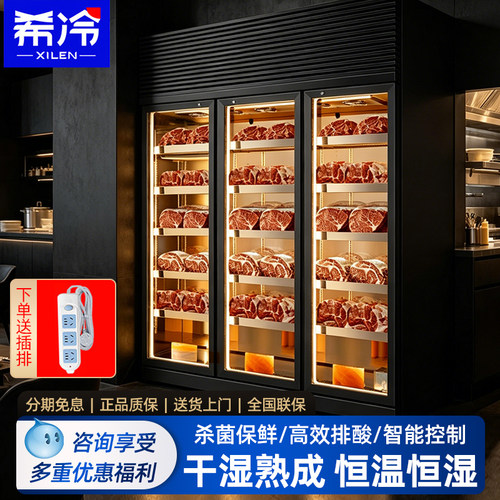 希冷牛肉熟成柜商用高端牛排排酸