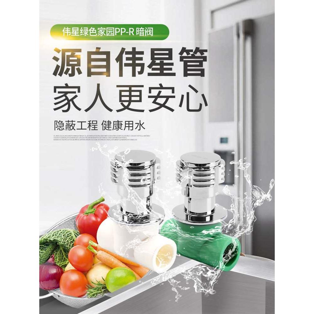 伟星快开暗阀阀芯全铜配件4分/20PPR管件热水暗阀门6分25