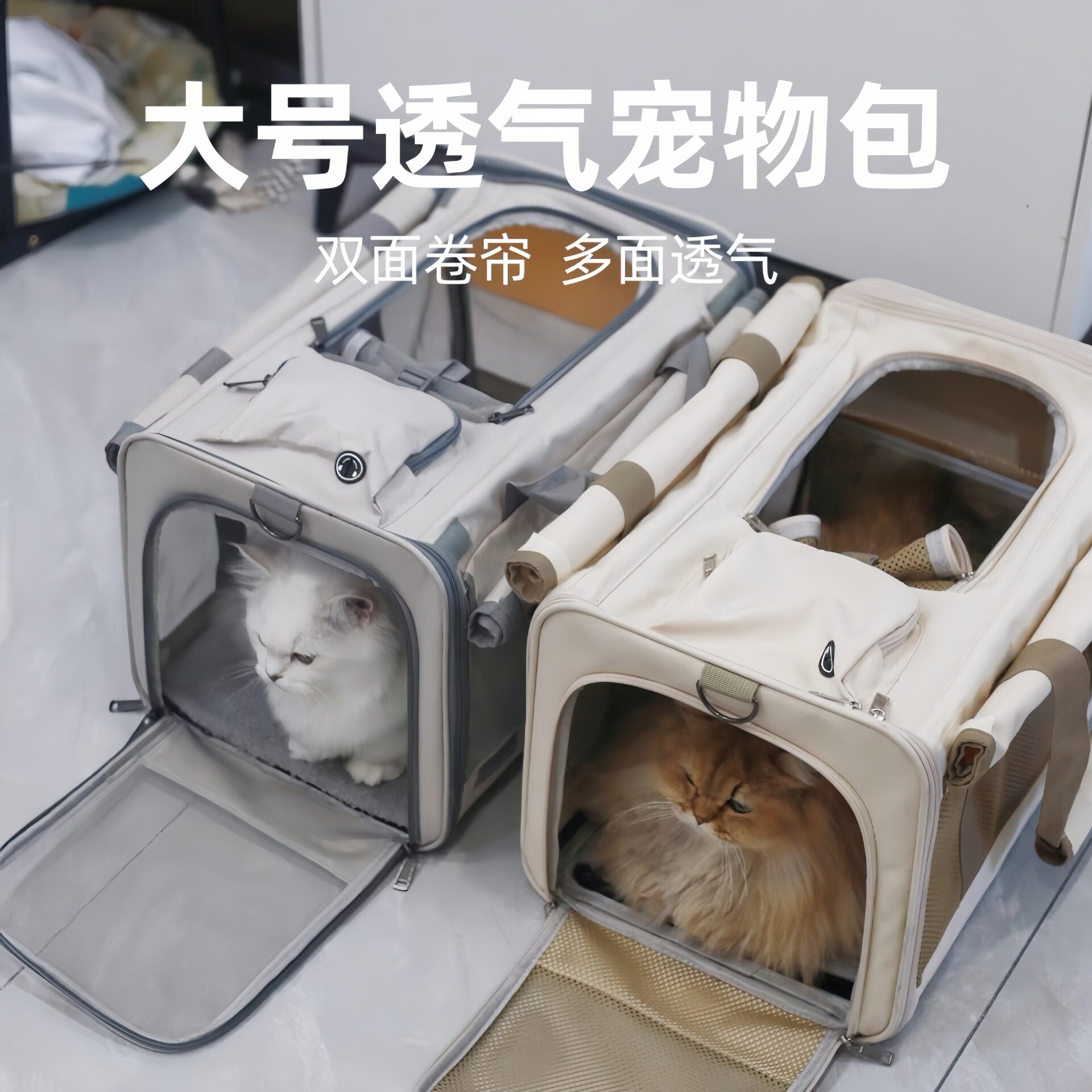 猫包可装两只猫咪外出便