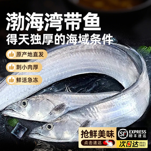 大连渤海湾刀鱼深海捕捞冷冻小眼整条带鱼过年年货礼盒