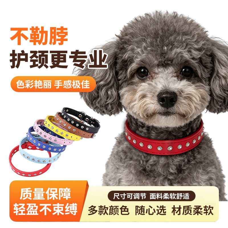 猫狗颈圈宠物项圈单排水钻猫咪狗狗项圈牵引绳小型犬宠物用品