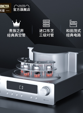 THINKYA DVR-102前胆后石合并式功放胆机组合音响HIFI电子管功放
