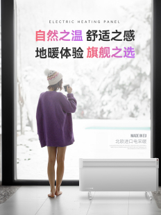 芬兰darsome塔世进口取暖器家用电暖器室内暖风机全屋地暖电暖气