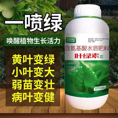 叶绿素增绿改善黄叶小叶营养液