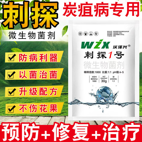 刺炭刺探炭疽疮痂抑菌微生物菌剂