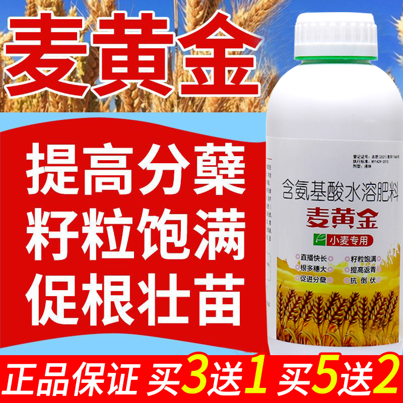 麦黄金小麦高产叶面肥增产套餐喷施专用肥促分蘖缩节灌浆肥水溶肥