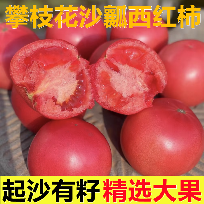 攀枝花沙瓤番茄自然成熟易出沙