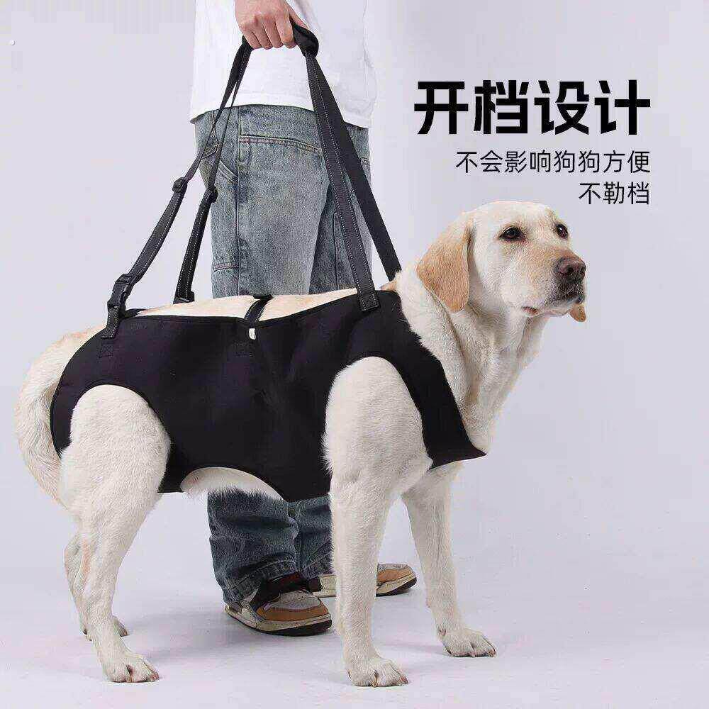 狗狗四肢辅助带老年犬后腿无力行走上楼梯神器康复提拉带大型犬