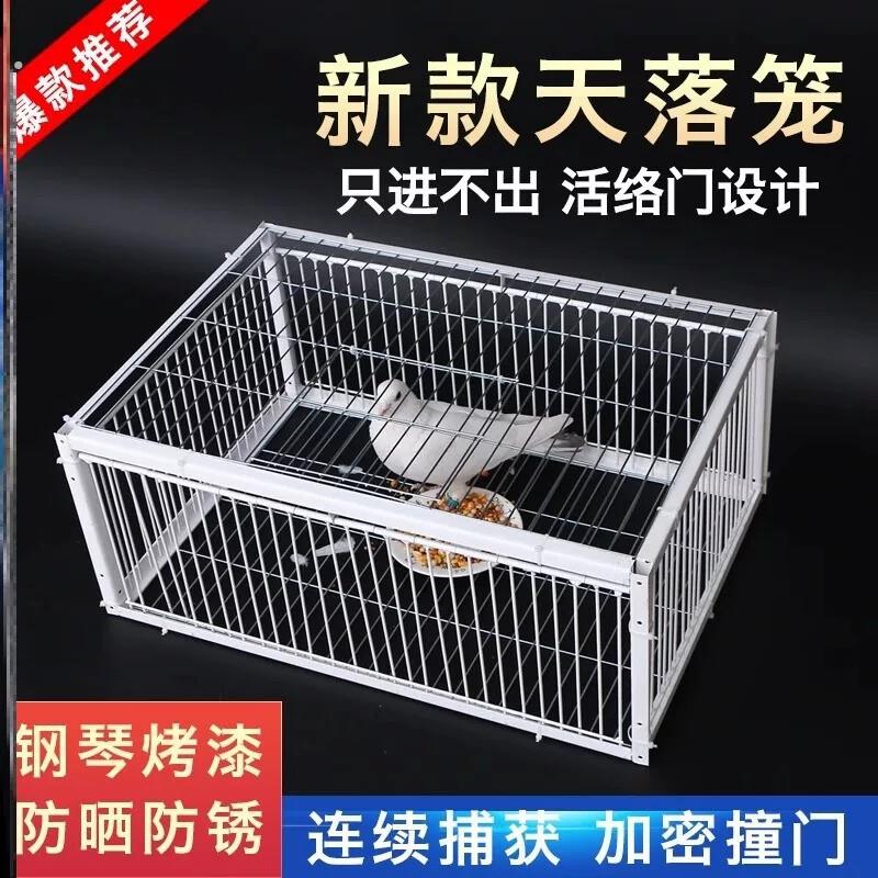 捕神器加密鸽子笼捕笼祇进不出天落笼撞门笼全自动户外收