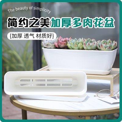 高颜值大口径多肉花盆带底托