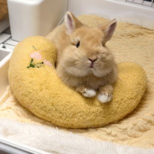 【趴趴小兔】侏儒兔睡觉窝躲避屋兔子小床秋冬保暖趴趴垫宠物用品
