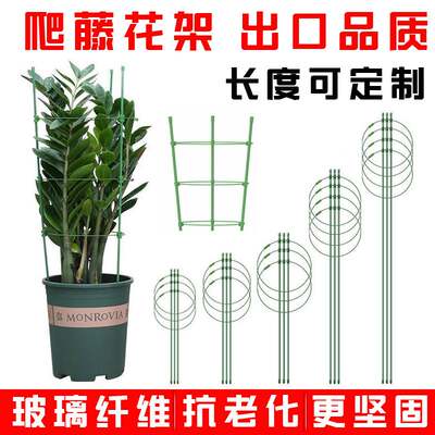 爬藤花架园艺支柱架阳台绿萝月季