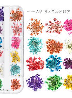 12 Colors Real Dried Flowers 3D Nail Art Decors Design DIY