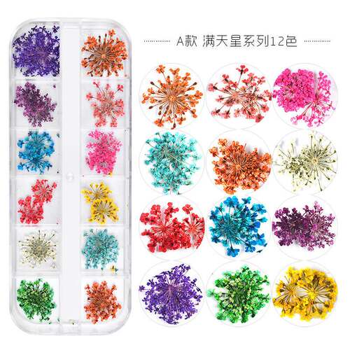 12 Colors Real Dried Flowers 3D Nail Art Decors Design DIY