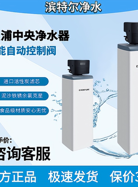 滨特尔爱惠浦全屋过滤系统 PCFE-40F120/54F120中央净水机2吨3吨