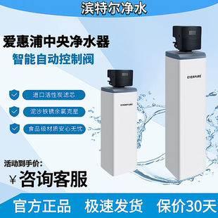 54F120中央净水机2吨3吨 40F120 滨特尔爱惠浦全屋过滤系统 PCFE