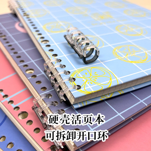 匠心独运硬壳封面活页笔记本