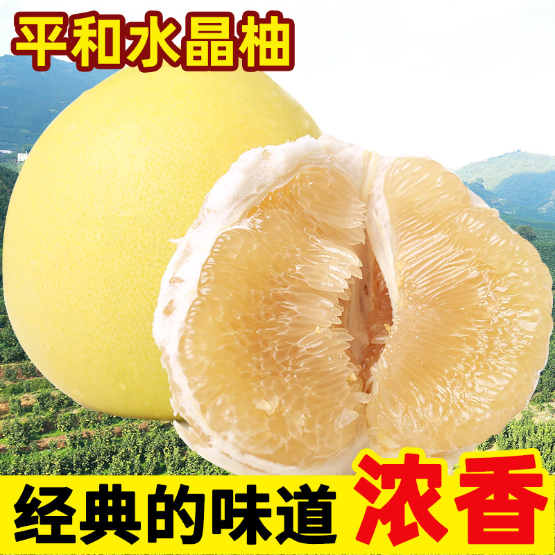 老树白肉蜜柚正宗福建平和柚子新柚子