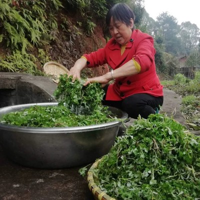 现做现发湖南特产艾草青团手工制作芝麻艾叶糍粑清明果蒿子粑粑