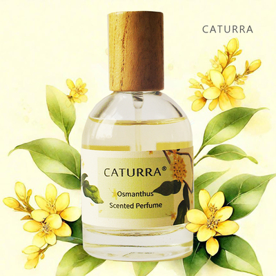 caturra卡图拉桂花香水女士男士
