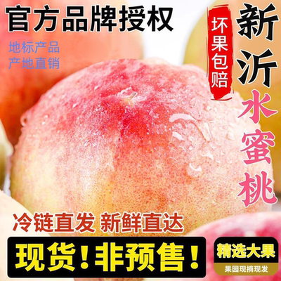 现货脆甜桃子毛桃新鲜水果水蜜桃现摘当季时令水果新鲜脆桃包邮