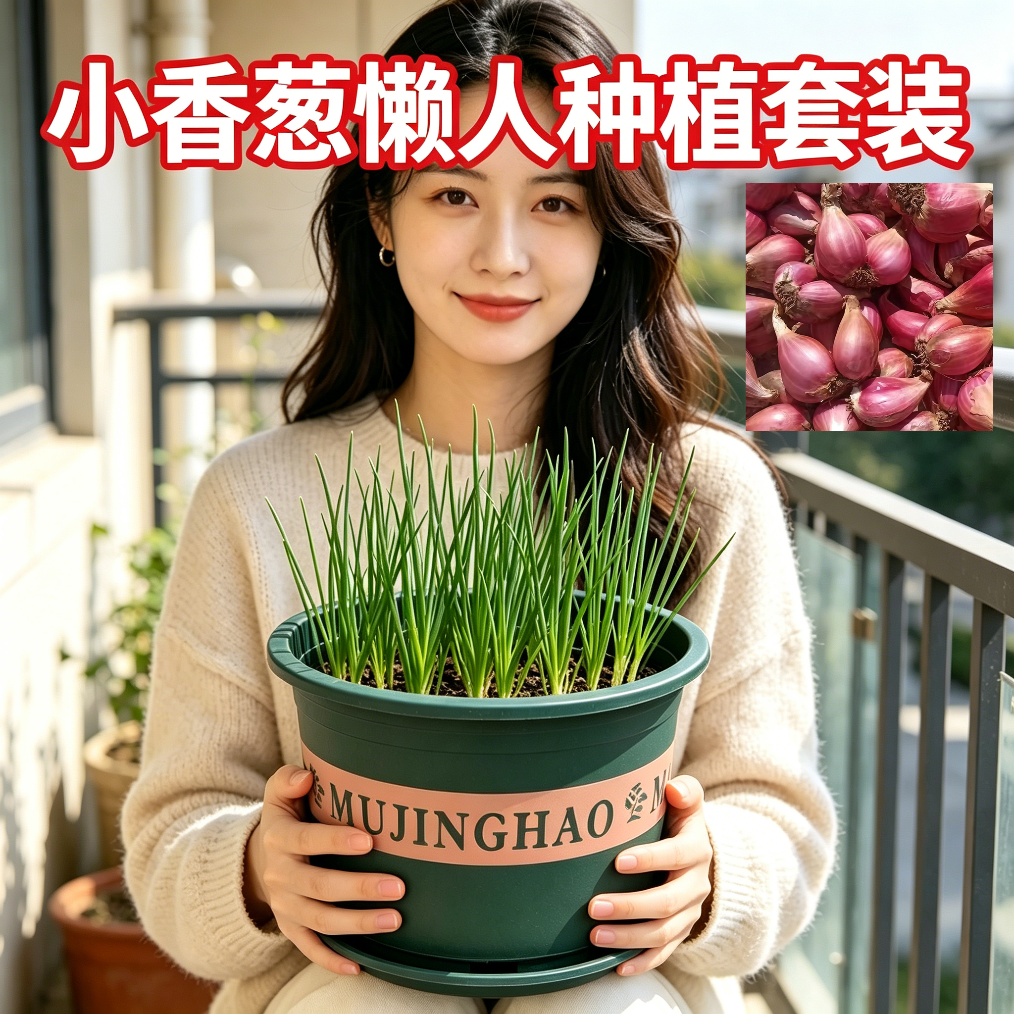 小香葱懒人种植套装盆栽四川红葱苗室内阳台种植盆栽蔬菜种子套装