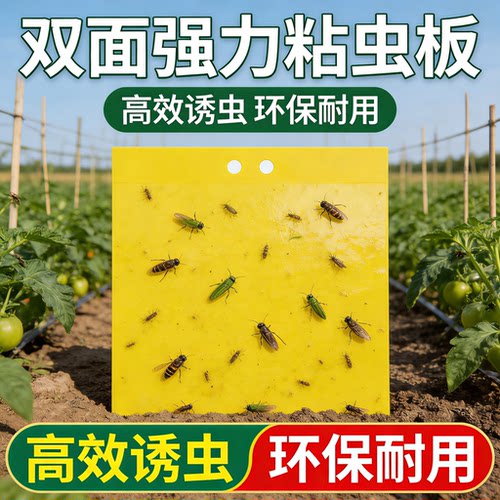 双面强力黄蓝诱虫板大棚粘虫