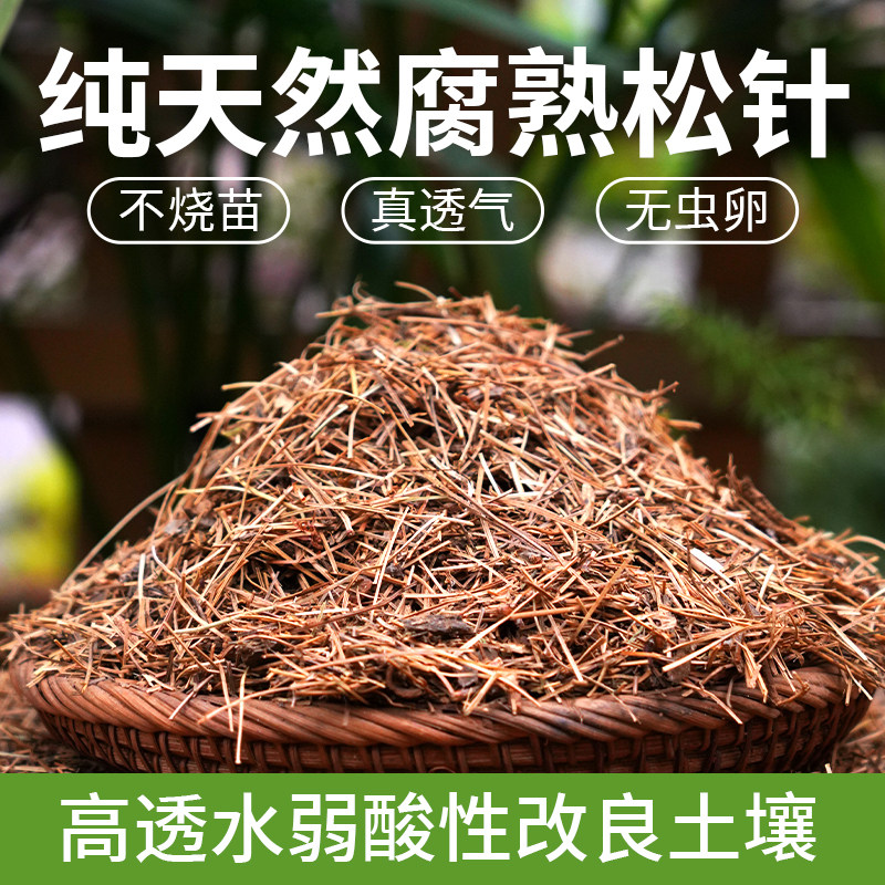 松针土兰花腐熟垫材养花通用花土