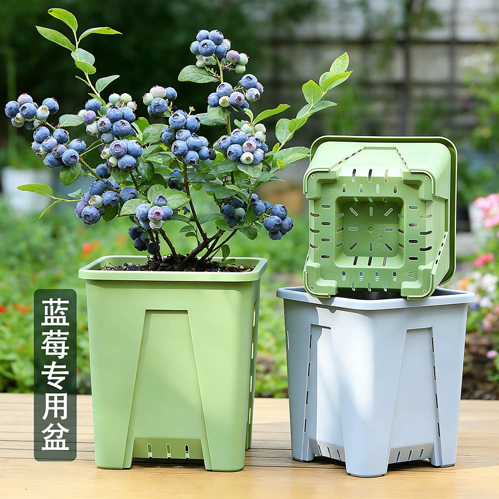蓝莓专用花盆方形控根透气图片