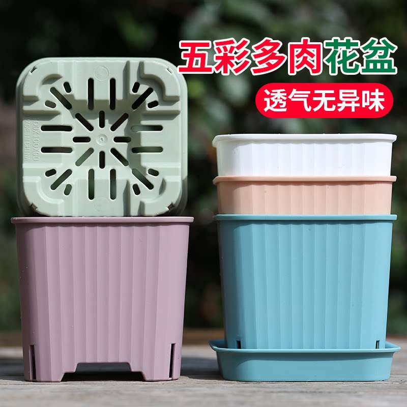 多肉花盆塑料盆五彩方盆多孔透气迷你小号多肉盆大号专用树脂加厚
