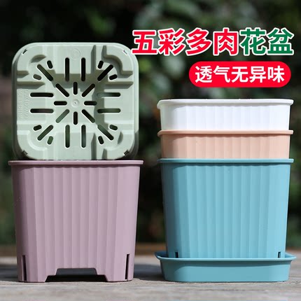 多肉花盆塑料盆五彩方盆多孔透气迷你小号多肉盆大号专用树脂加厚