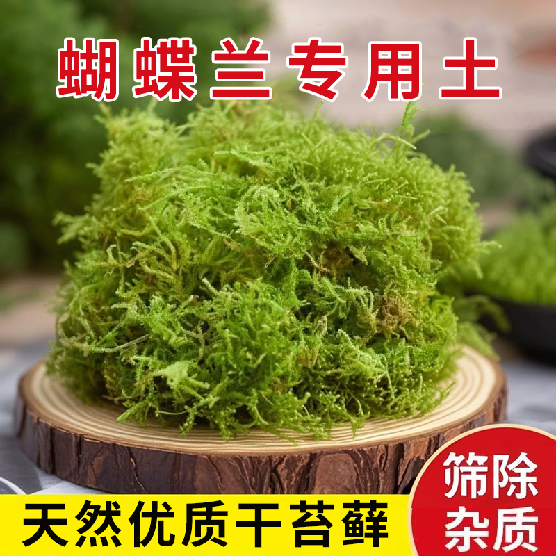 干苔藓青苔蝴蝶兰石斛种植兰花专用营养土爬宠垫材青苔铁皮石斛
