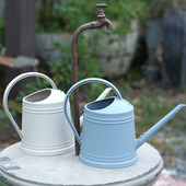 浇水壶长嘴仿铁艺洒水壶家用塑料树脂园艺工具绿植栽花浇花壶铁皮