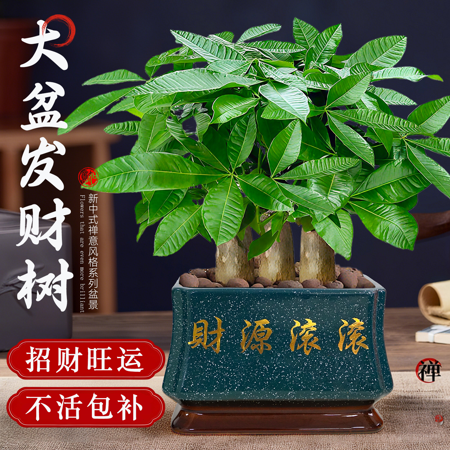 发财树小盆栽客厅盆景办公室内桌面旺宅绿植开业送礼四季常青好养