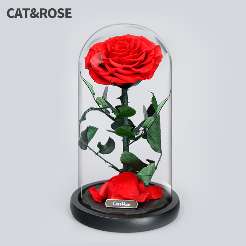 catrose情人节礼物永生花