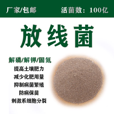 厂家直供100亿放线菌散装包邮