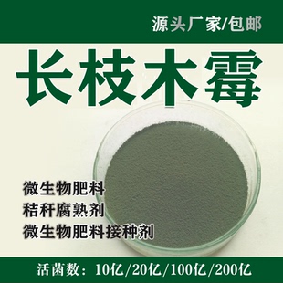 木霉菌 农用农业种植 饲料发酵 分解纤维 木霉菌厂家 长枝木霉