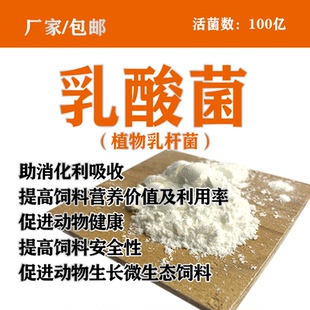 100亿乳酸菌链球益生菌水牛羊产反刍动物饲料微生物