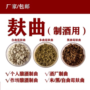 快曲麸曲 米曲霉黑曲霉麸曲酒曲酿酒用菌微生物发酵剂曲河内白曲