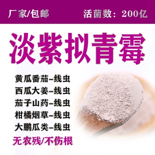 200亿淡紫拟青霉紫孢菌生物菌剂肥料菌剂高含量厂家直销100g 包邮