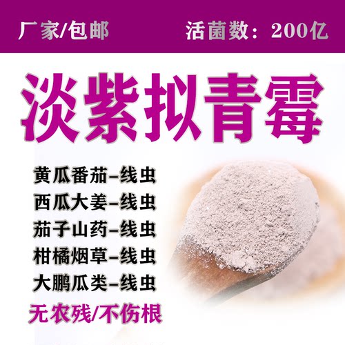 200亿淡紫青霉生物菌剂肥料