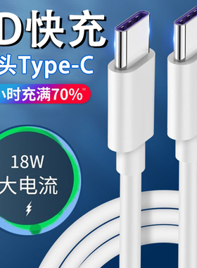 艾胜者 双头Type-c充电线60WPD快充tpyec适用于华为小米苹果iPad Pro/MacBook车载ctoc双tpc手机冲电线加长