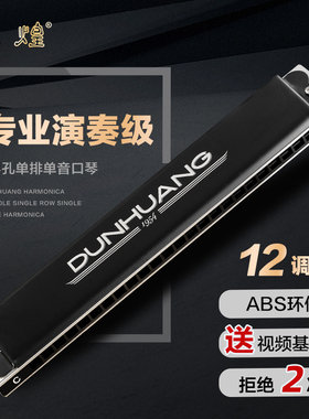 敦煌24孔单音口琴初学入门单孔成人学生乐器Y2411学校团购推荐