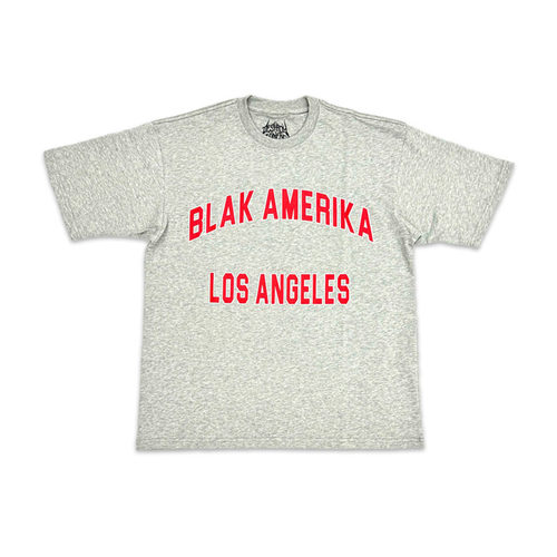 Destroy Lonely Blak Amerika LOS ANGELES Tee洛杉矶限定短袖T恤